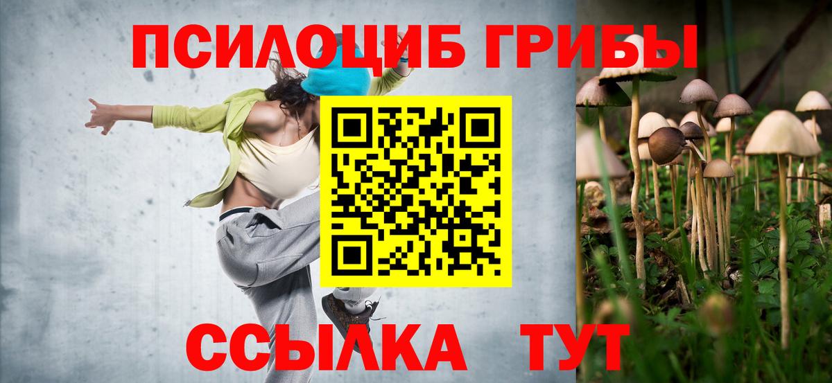 Галлюциногенные грибы Cubensis Асино